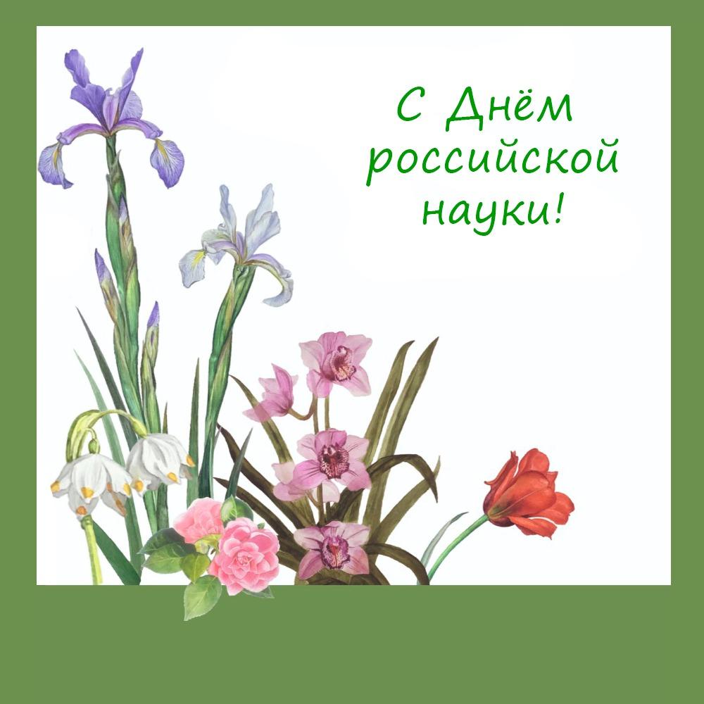 ​8 февраля – День российской науки