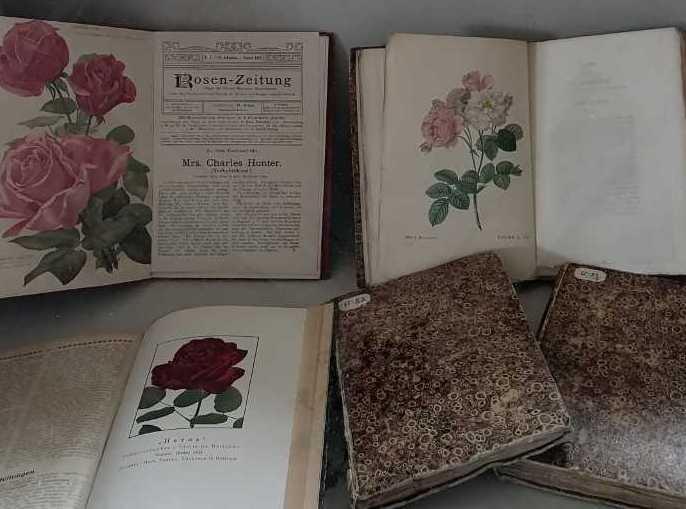 Выставка «Редкая книга на осеннем балу цветов: астра, роза, хризантема»