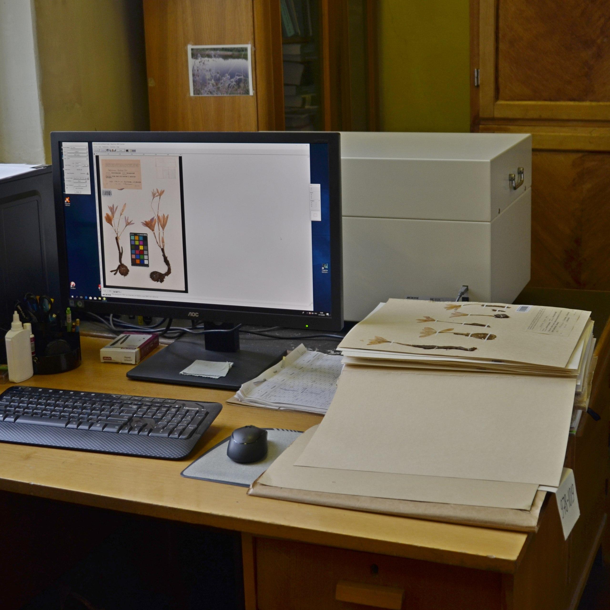 Цифровой гербарий ГБС РАН​