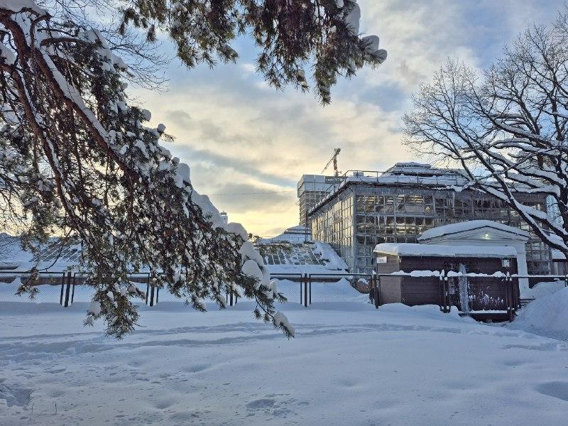 Уважаемые посетители Фондовой оранжереи!