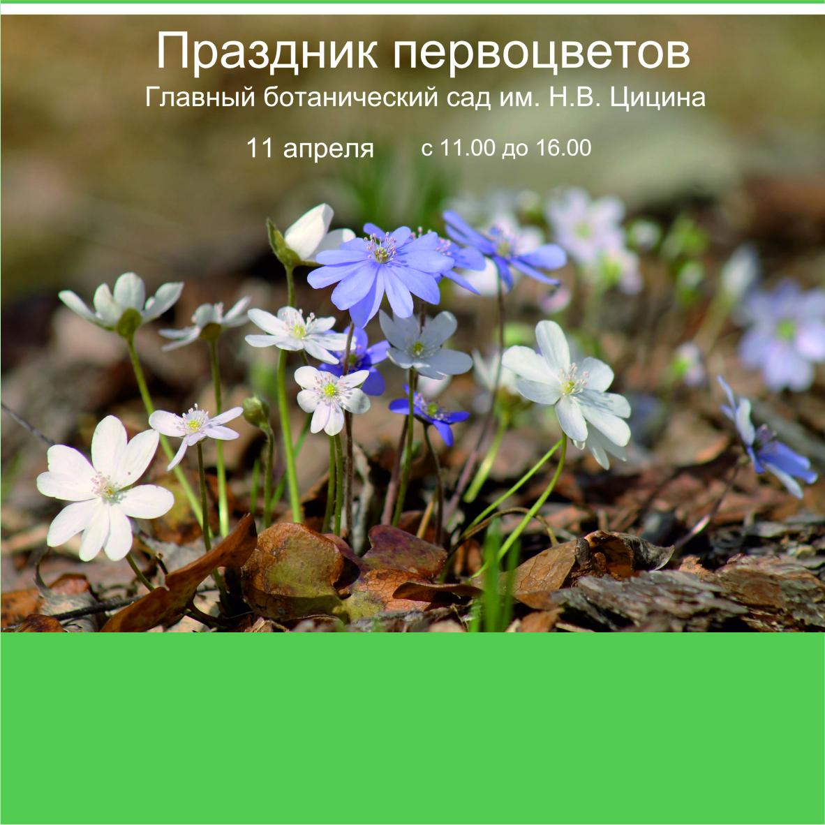 ​Праздник первоцветов