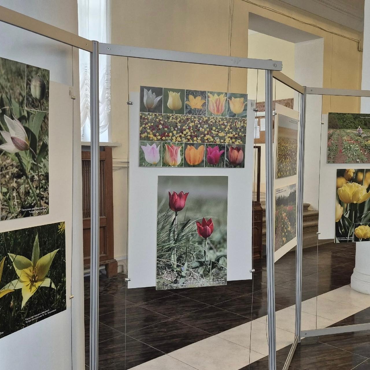 Главный ботанический сад РАН - официальный партнер фестиваля 