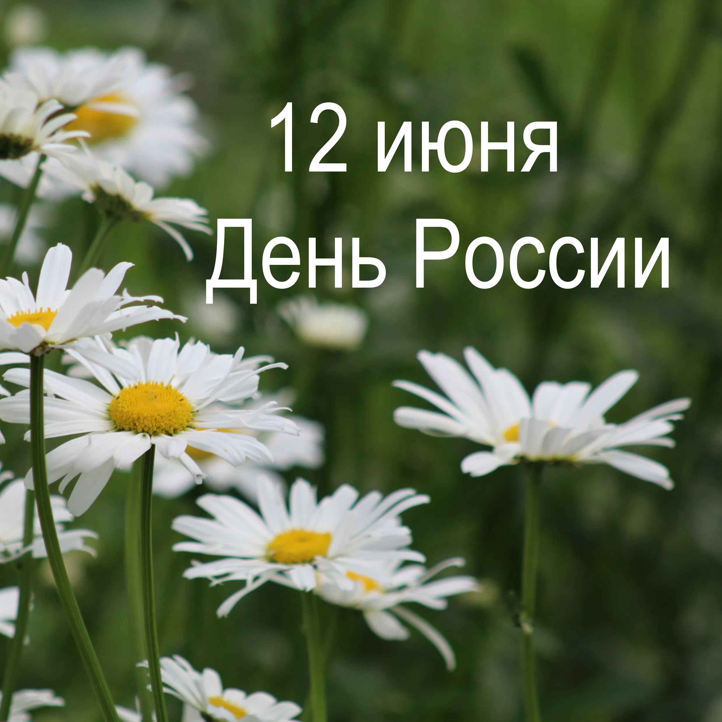 С Днём​ России!