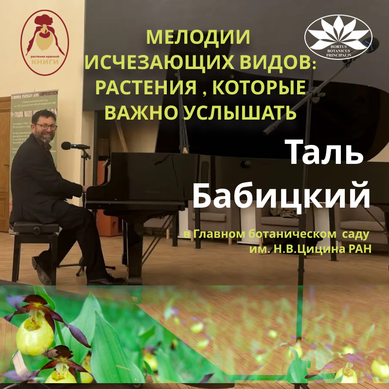 Таль Бабицкий