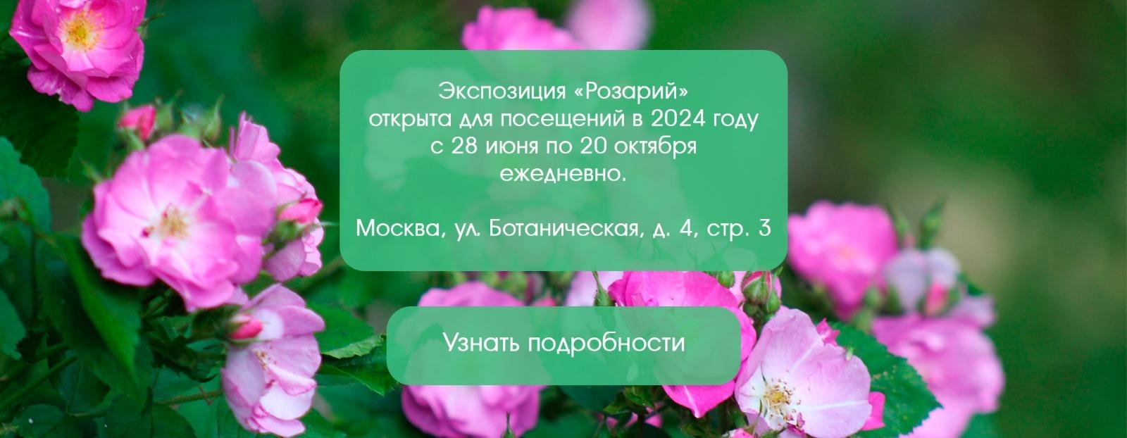 http://gbsad.ru